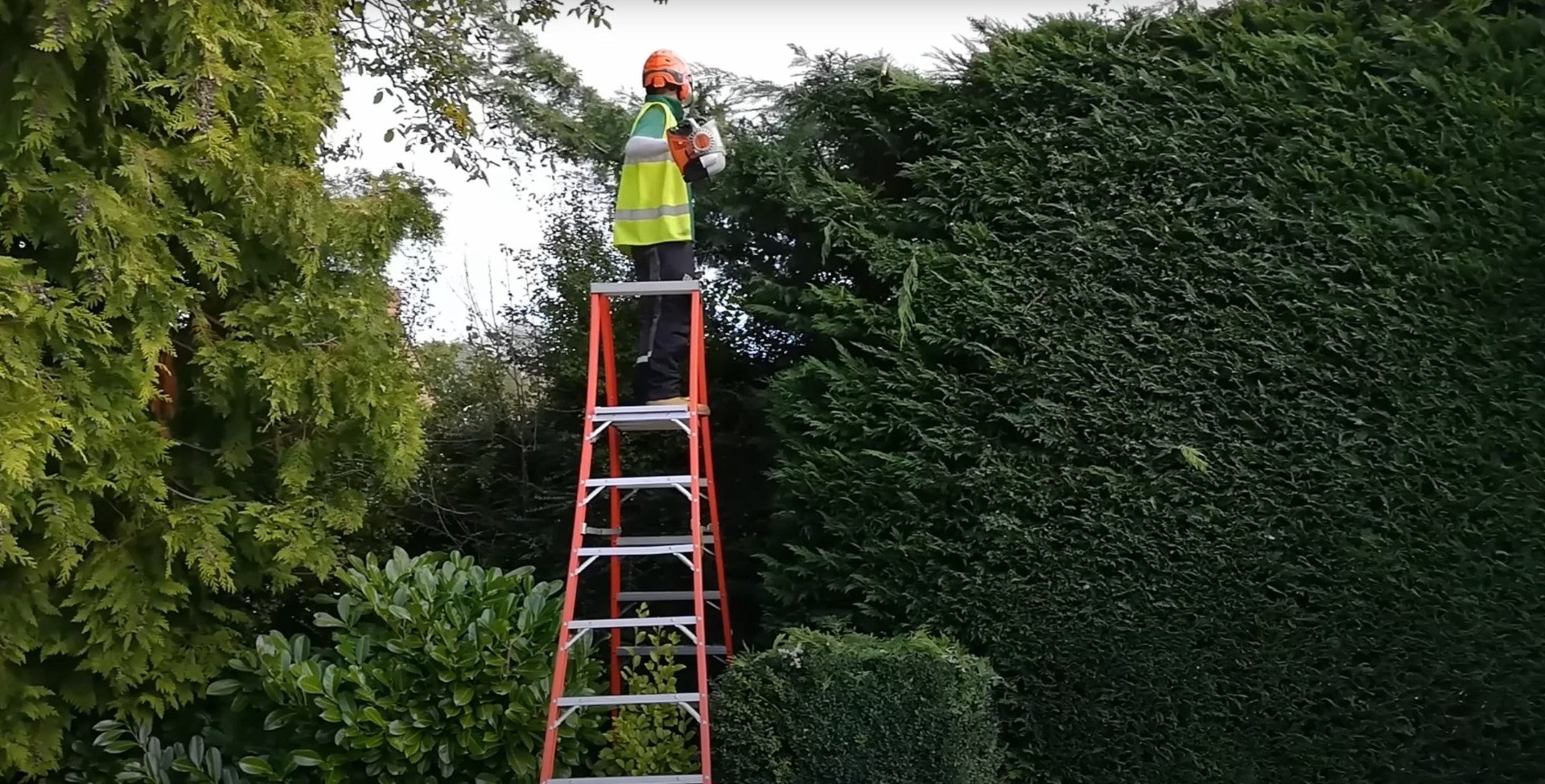 Professional tree and hedge trimming services in Dearborn Professional arborist on ladder trimming tall hedge with safety equipment and high-visibility clothing